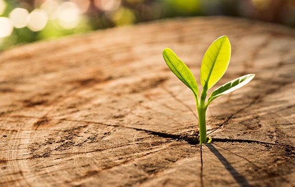 The $104,000 “Welcome Aboard” Gift